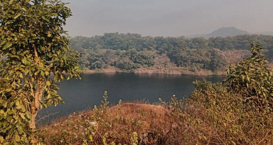 Serene lake surrounded by dense trees and shrubbery.