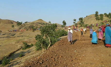 People working on rural hillside farmland.